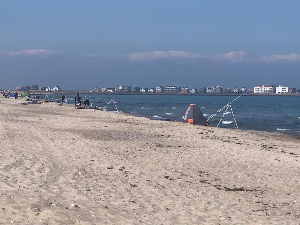 Segelund - Zeit Fuer Uns- Ruhige Und Sonnige Ferienwohnung Mit Terrasse Und Garten Nahe Strand Und Ostsee Schönhagen Kültér fotó