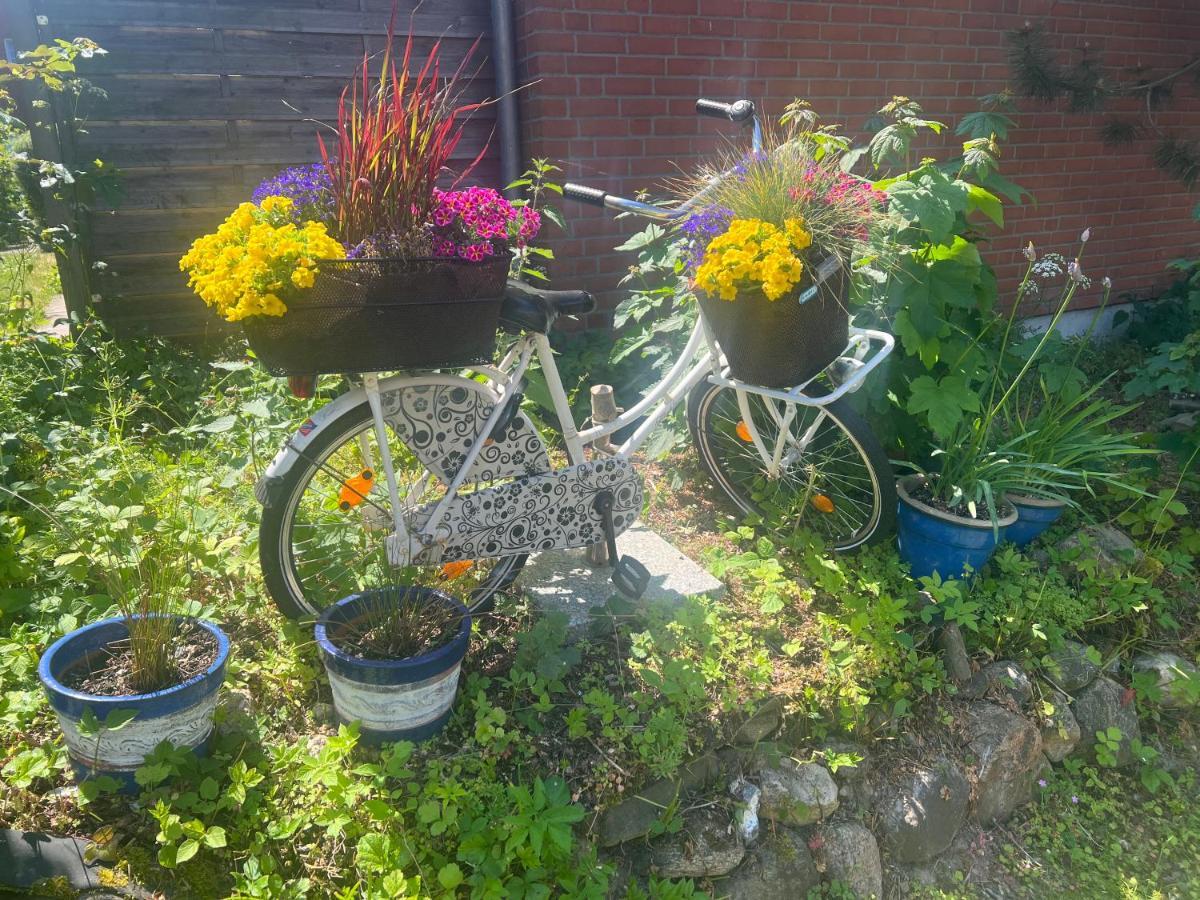 Segelund - Zeit Fuer Uns- Ruhige Und Sonnige Ferienwohnung Mit Terrasse Und Garten Nahe Strand Und Ostsee Schönhagen Kültér fotó